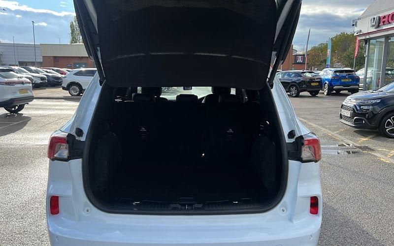 Used Ford Kuga ST-Line 150 HP (110 kW) 2023 White SUV