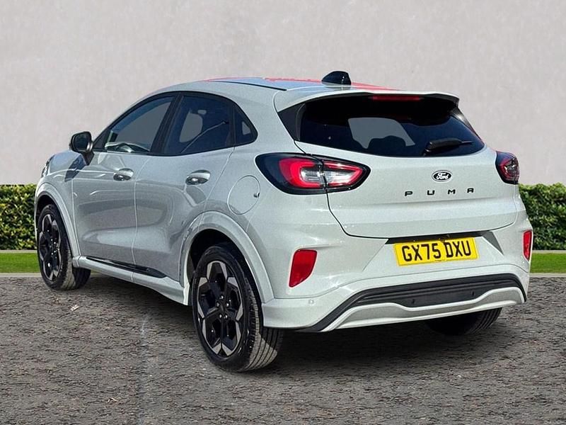 Used Ford Puma ST-Line X 125 HP (91 kW) 2025 Cactus grey SUV