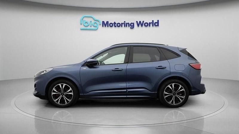 Used Ford Kuga ST-Line X 190 HP (139 kW) 2023 Blue SUV