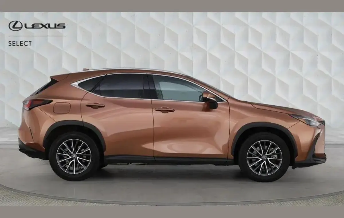 Used Lexus NX450h+ 304 HP (223 kW) 2024 Bronze SUV