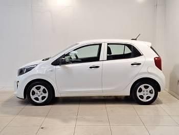 Used Kia Picanto 2023 White Hatchback