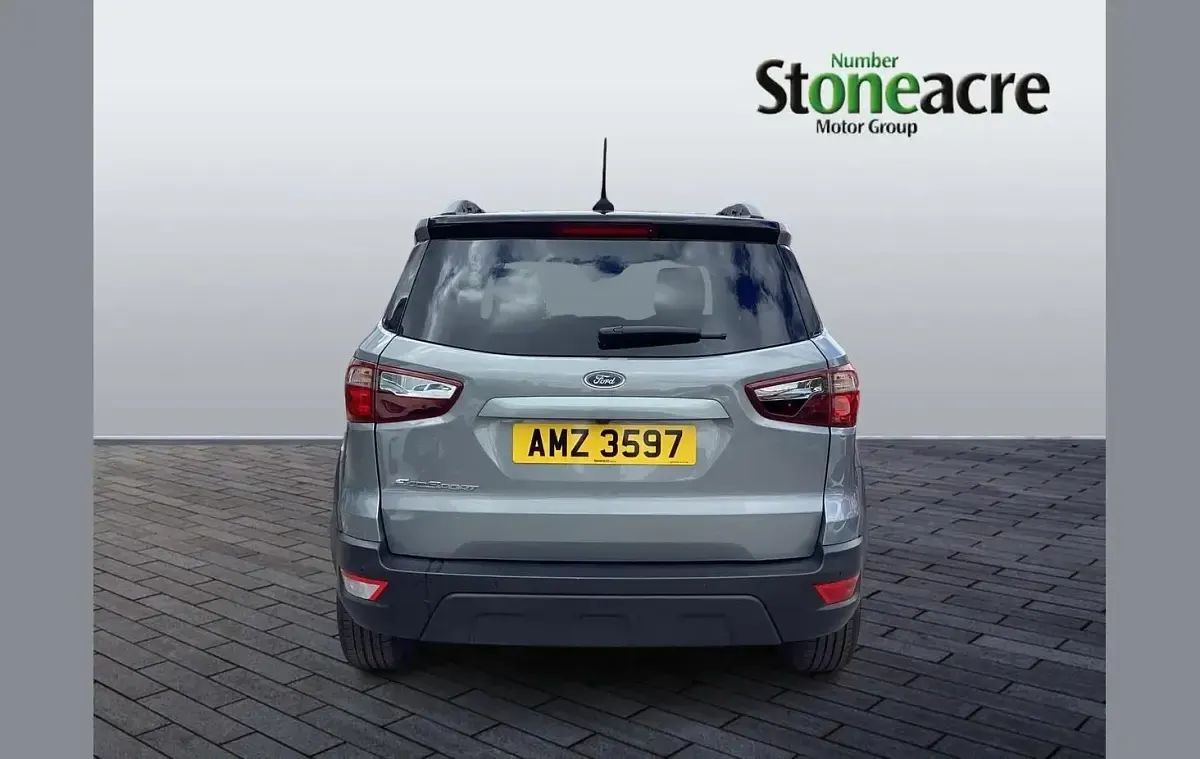 Used Ford Ecosport Active 123 HP (90 kW) 2023 Silver SUV