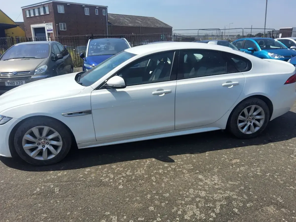 Used Jaguar XF R-Sport 2018 White Sedan