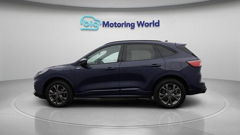 Used Ford Kuga ST-Line 225 HP (165 kW) 2023 Blue SUV