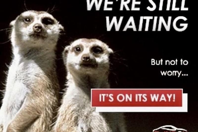 Used 2024 MG ZS Exclusive SUV | £12,000 (Good price) - Image 1/1