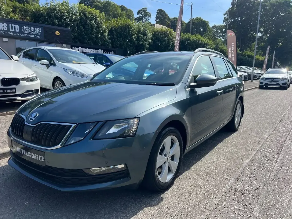 Used Skoda Octavia SE Technology 116 HP (85 kW) 2018 Grey Estate