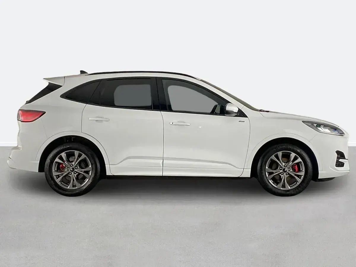 Used Ford Kuga ST-Line 150 HP (110 kW) 2023 White SUV