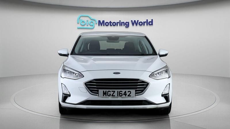 Used Ford Focus Zetec 120 HP (88 kW) 2019 White Hatchback