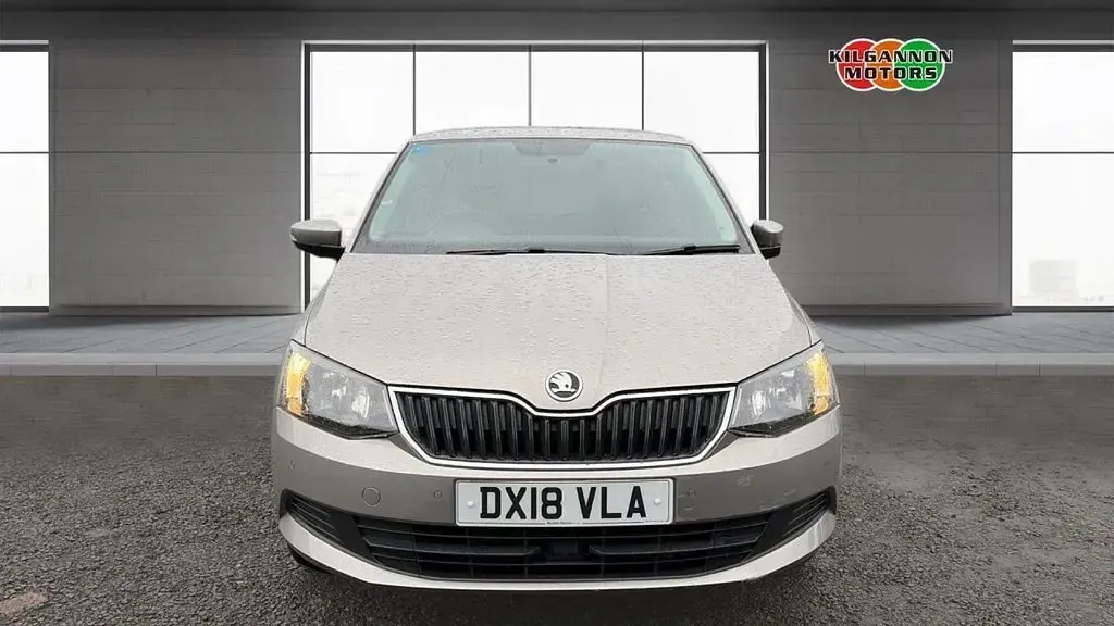 Used Skoda Fabia SE 110 HP (80 kW) 2018 Beige Hatchback