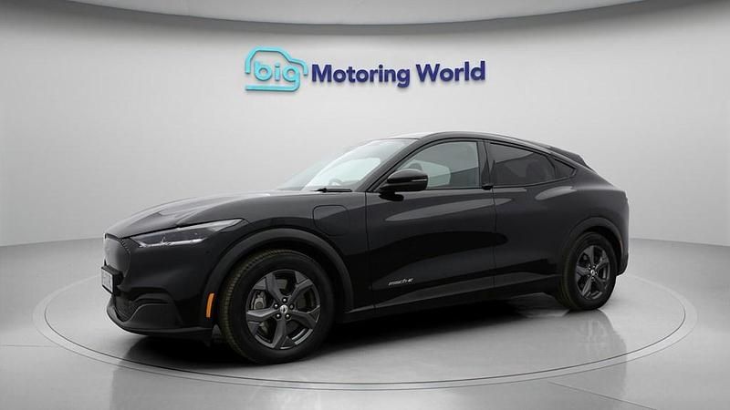 Used Ford Mustang Mach-E Standard Range 197 kW (269 HP) 2022 SUV