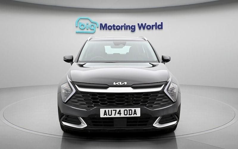 Used Kia Sportage 159 HP (116 kW) 2024 SUV
