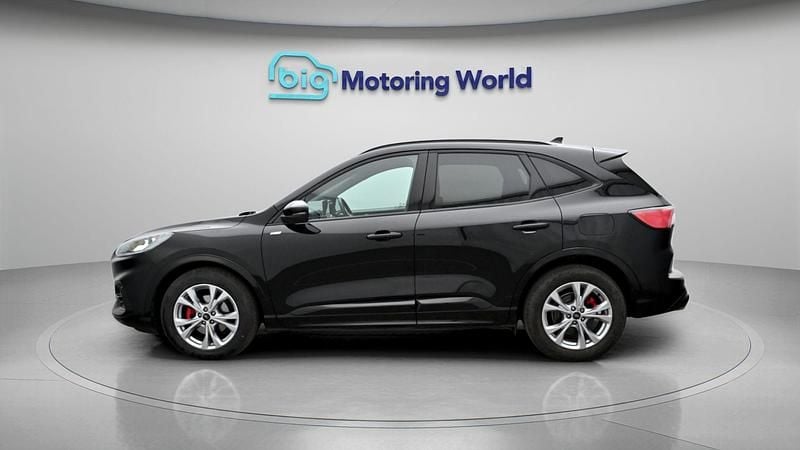 Used Ford Kuga ST-Line 148 HP (108 kW) 2023 SUV