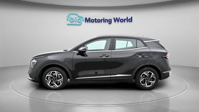 Used Kia Sportage 2024 Black SUV