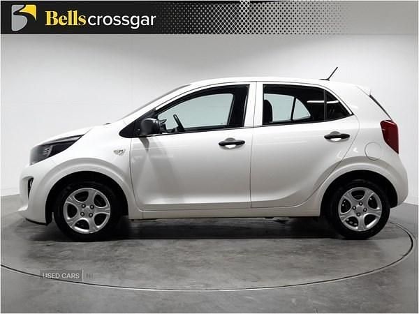 Used Kia Picanto 66 HP (48 kW) 2022 White Hatchback