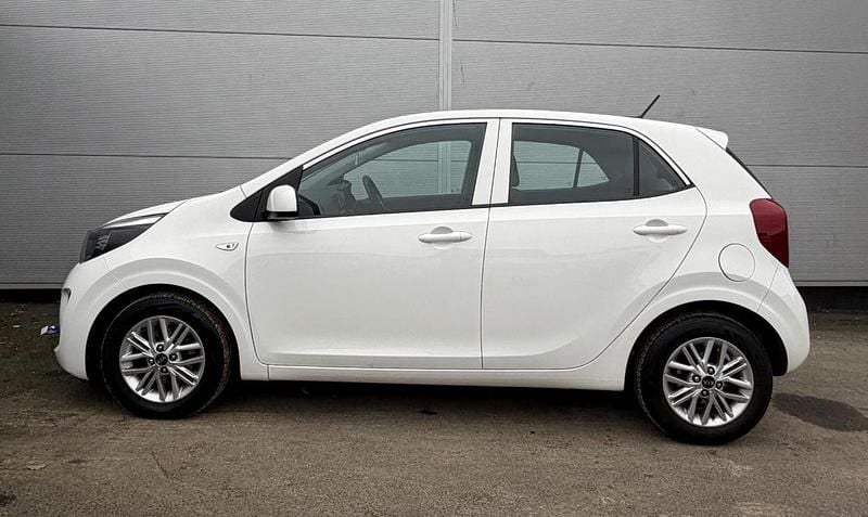 Used Kia Picanto 66 HP (48 kW) 2021 White Hatchback