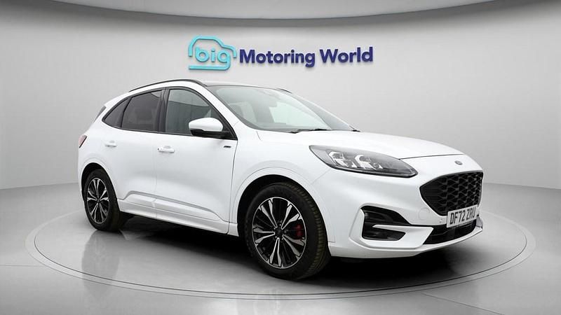 Used Ford Kuga ST-Line X 190 HP (139 kW) 2023 White SUV