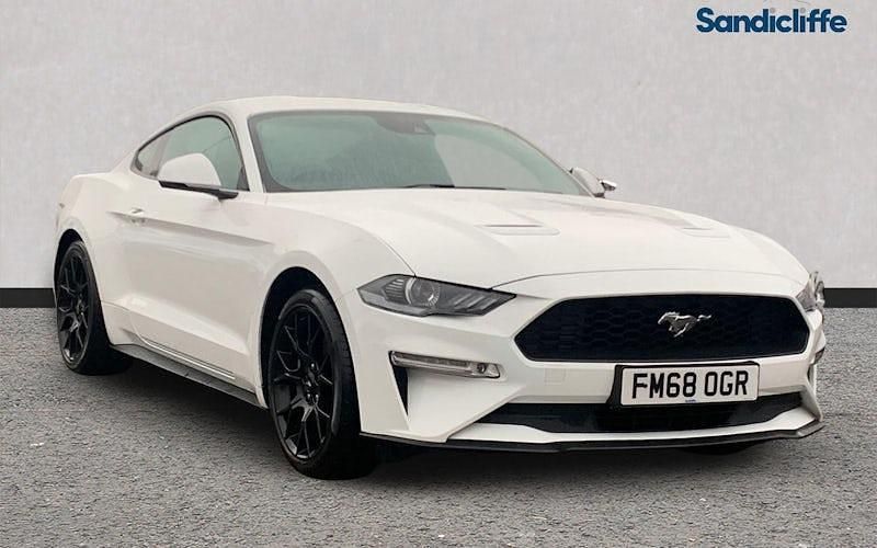 Used Ford Mustang Fastback 310 HP (228 kW) 2019 White Coupe