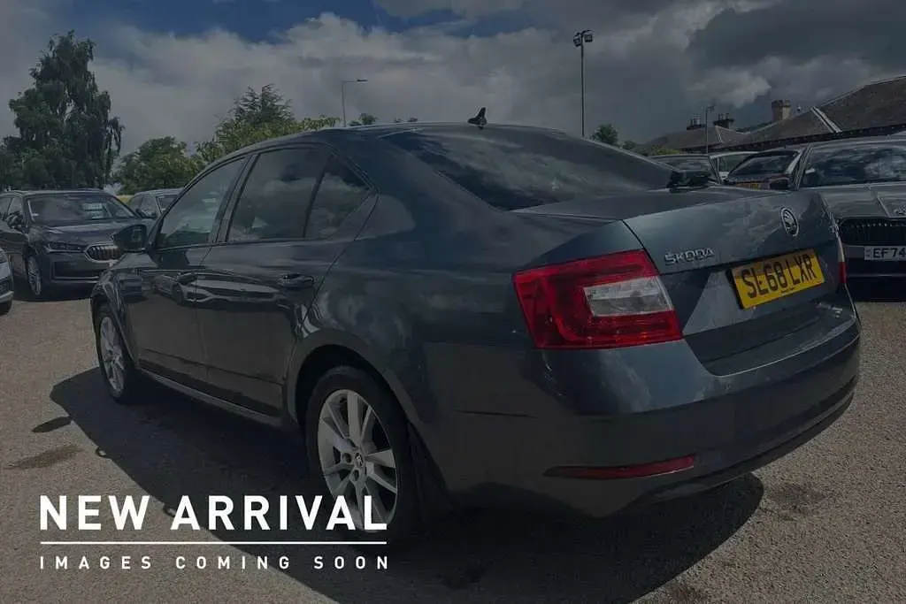 Used Skoda Octavia SE L 113 HP (83 kW) 2018 Grey Hatchback