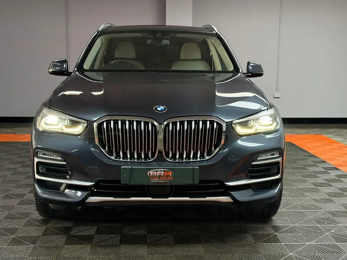 Used BMW X5 Sport Line 265 HP (194 kW) 2019 Grey SUV