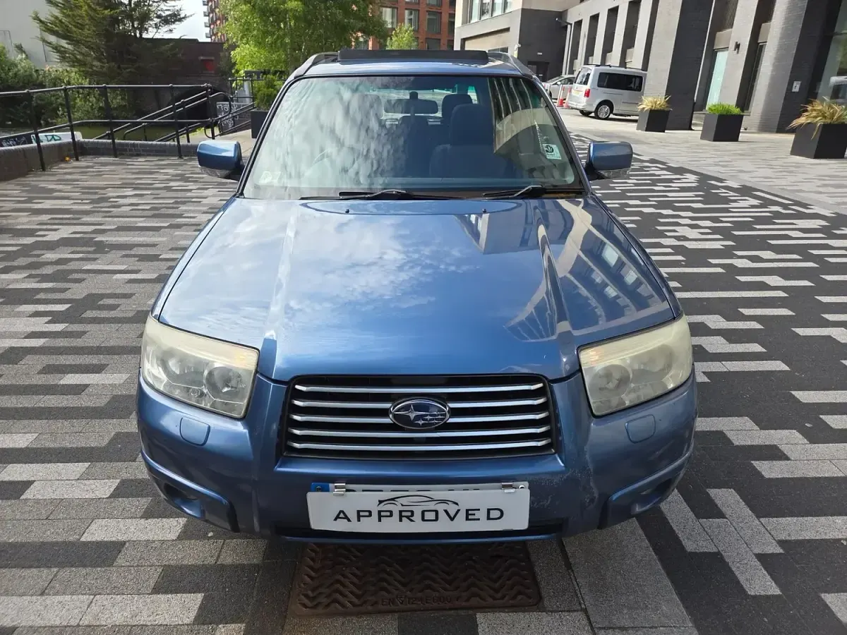 Used Subaru Forester 2006 Blue SUV