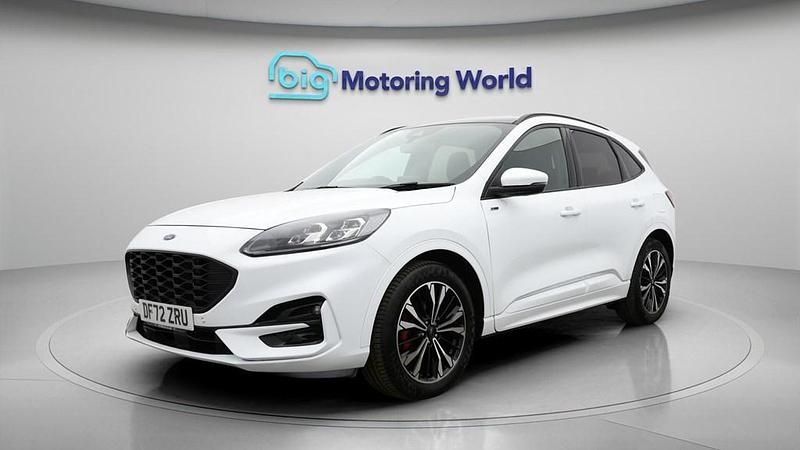 Used Ford Kuga ST-Line X 190 HP (139 kW) 2023 White SUV