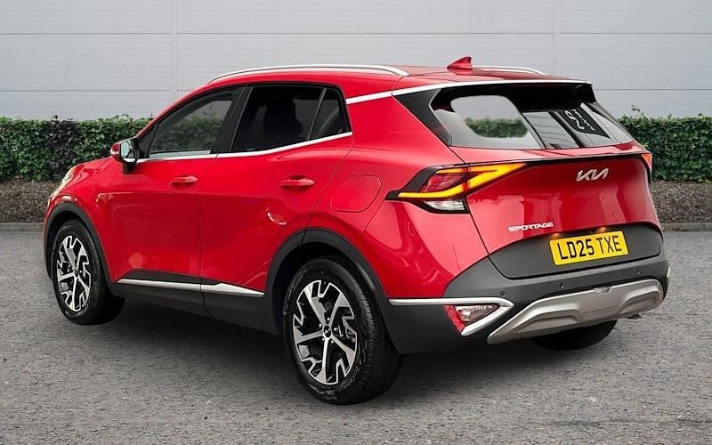 Used Kia Sportage 159 HP (116 kW) 2024 SUV