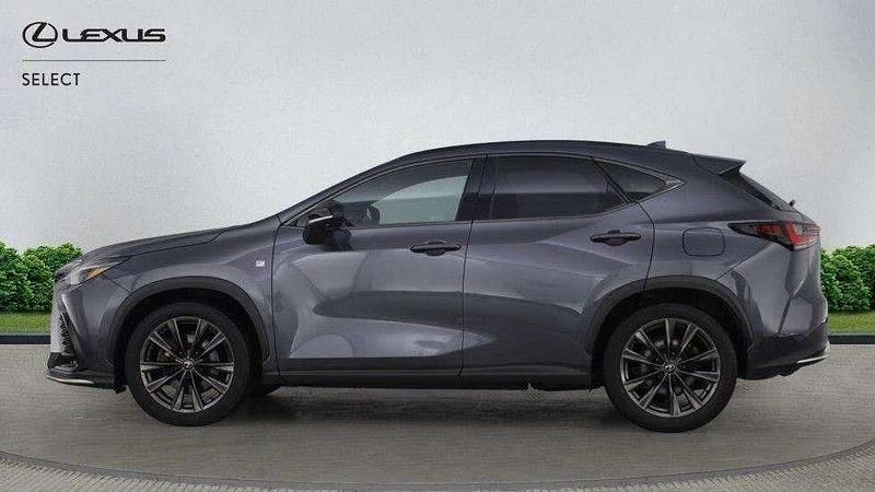 Used Lexus NX450h+ Sport Line 301 HP (221 kW) 2023 Grey SUV