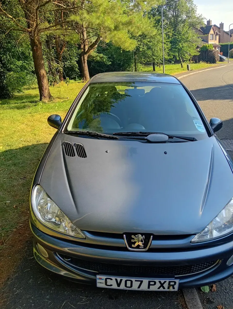 Used Peugeot 206 75 HP (55 kW) 2007 Grey Hatchback