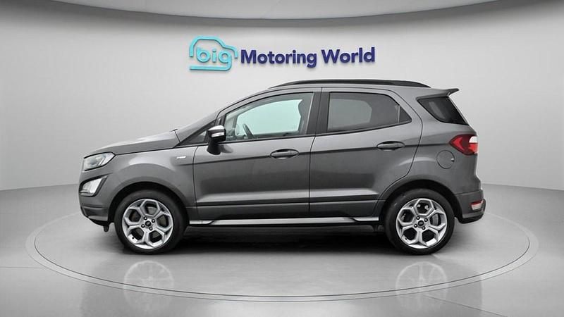Used Ford Ecosport ST-Line 125 HP (91 kW) 2023 Grey SUV