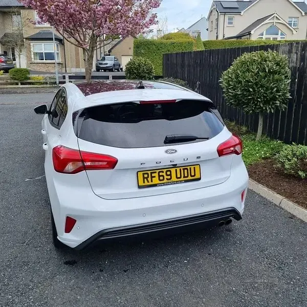 Used Ford Focus ST-Line X 150 HP (110 kW) 2020 White Hatchback