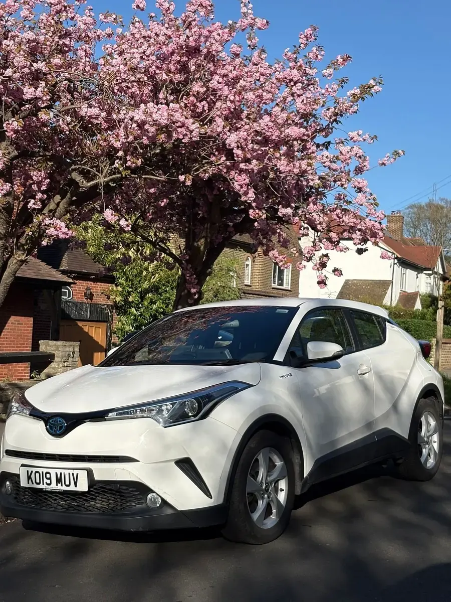 Used Toyota C-HR 2019 White SUV