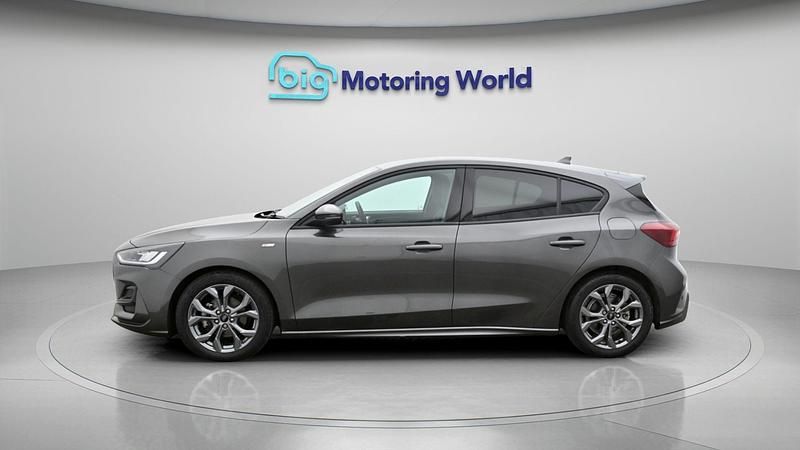 Used Ford Focus ST-Line 123 HP (90 kW) 2023 Grey Hatchback