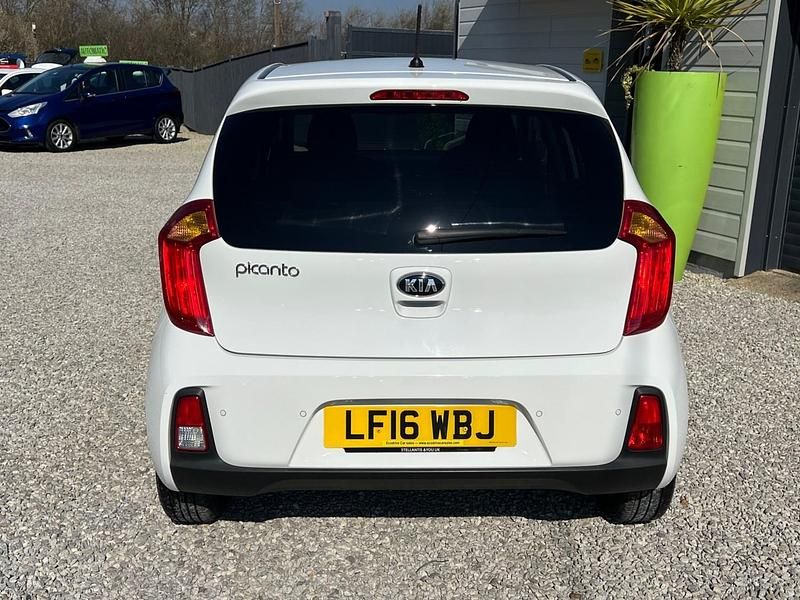 Used Kia Picanto 65 HP (47 kW) 2016 White Hatchback