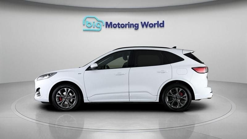 Used Ford Kuga ST-Line 2021 White SUV