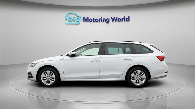 Used Skoda Octavia SE Technology 110 HP (80 kW) 2023 White Estate