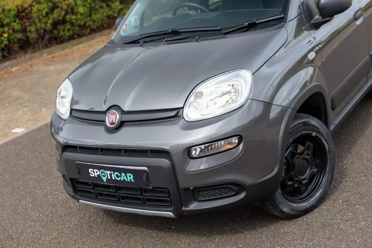 Used Fiat Panda Wild 85 HP (62 kW) 2022 Grey Hatchback