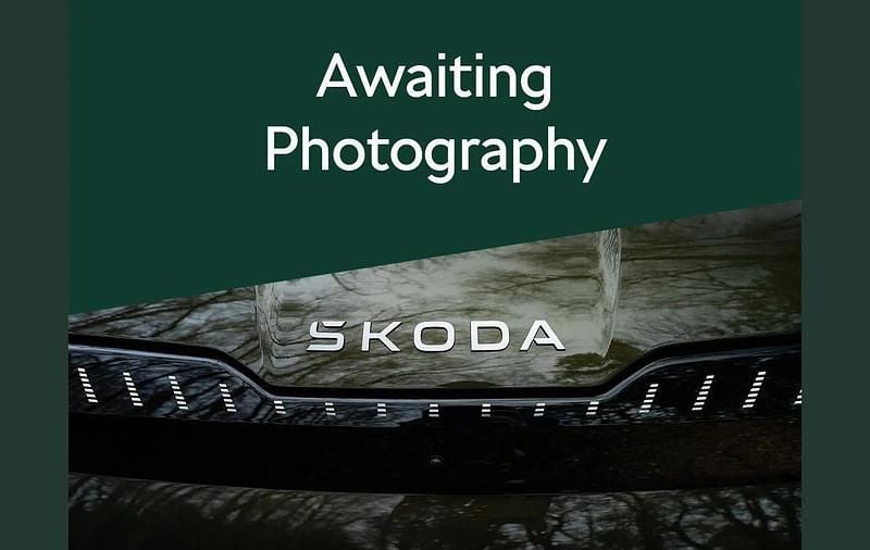 Used Skoda Kamiq SE 115 HP (84 kW) 2023 White SUV