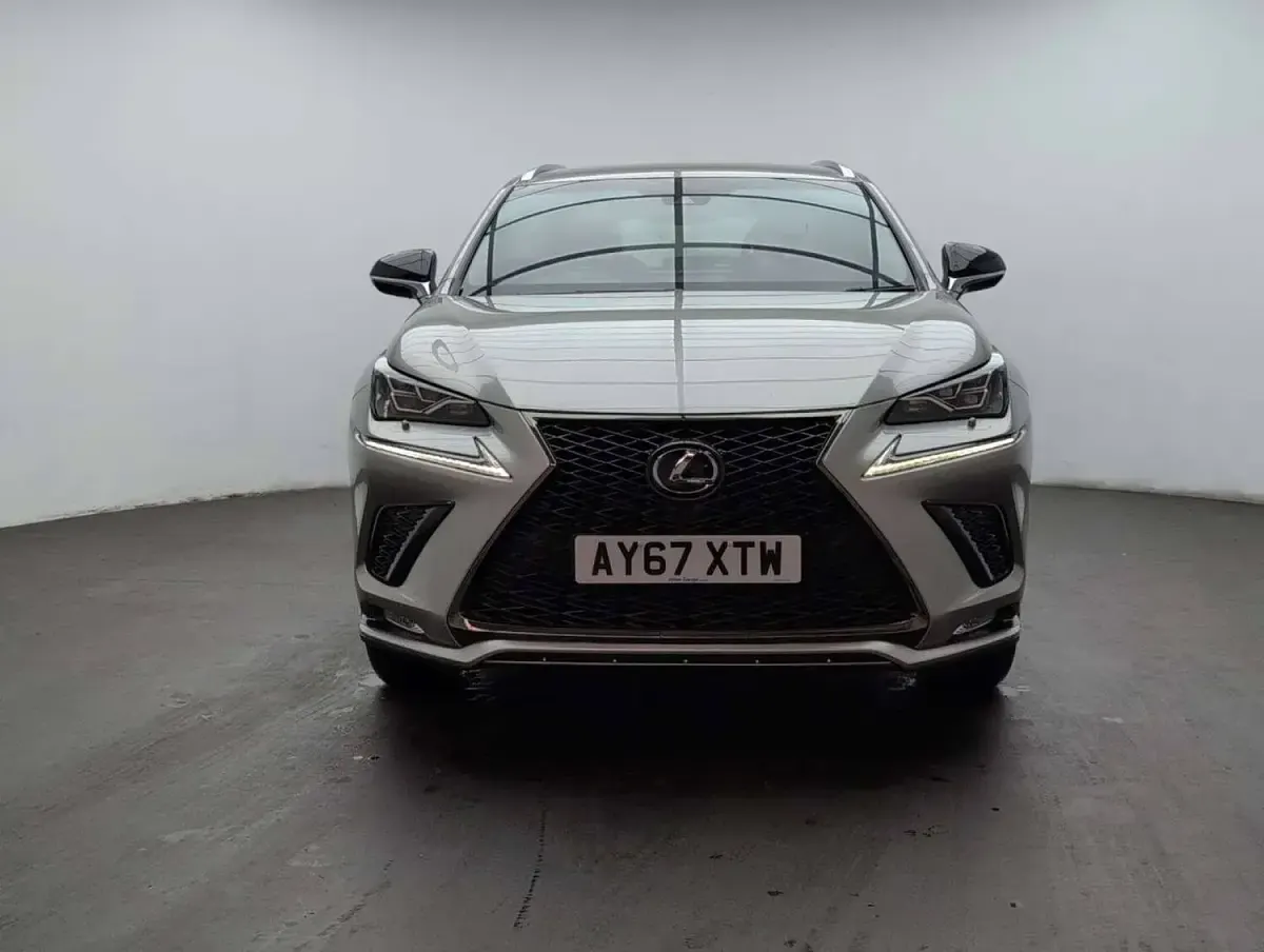 Used Lexus NX300h Sport Line 194 HP (142 kW) 2018 Silver SUV