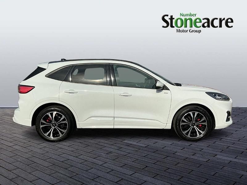 Used Ford Kuga ST-Line X 190 HP (139 kW) 2023 White SUV