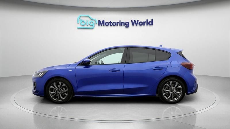 Used Ford Focus ST-Line 125 HP (91 kW) 2024 Blue Hatchback