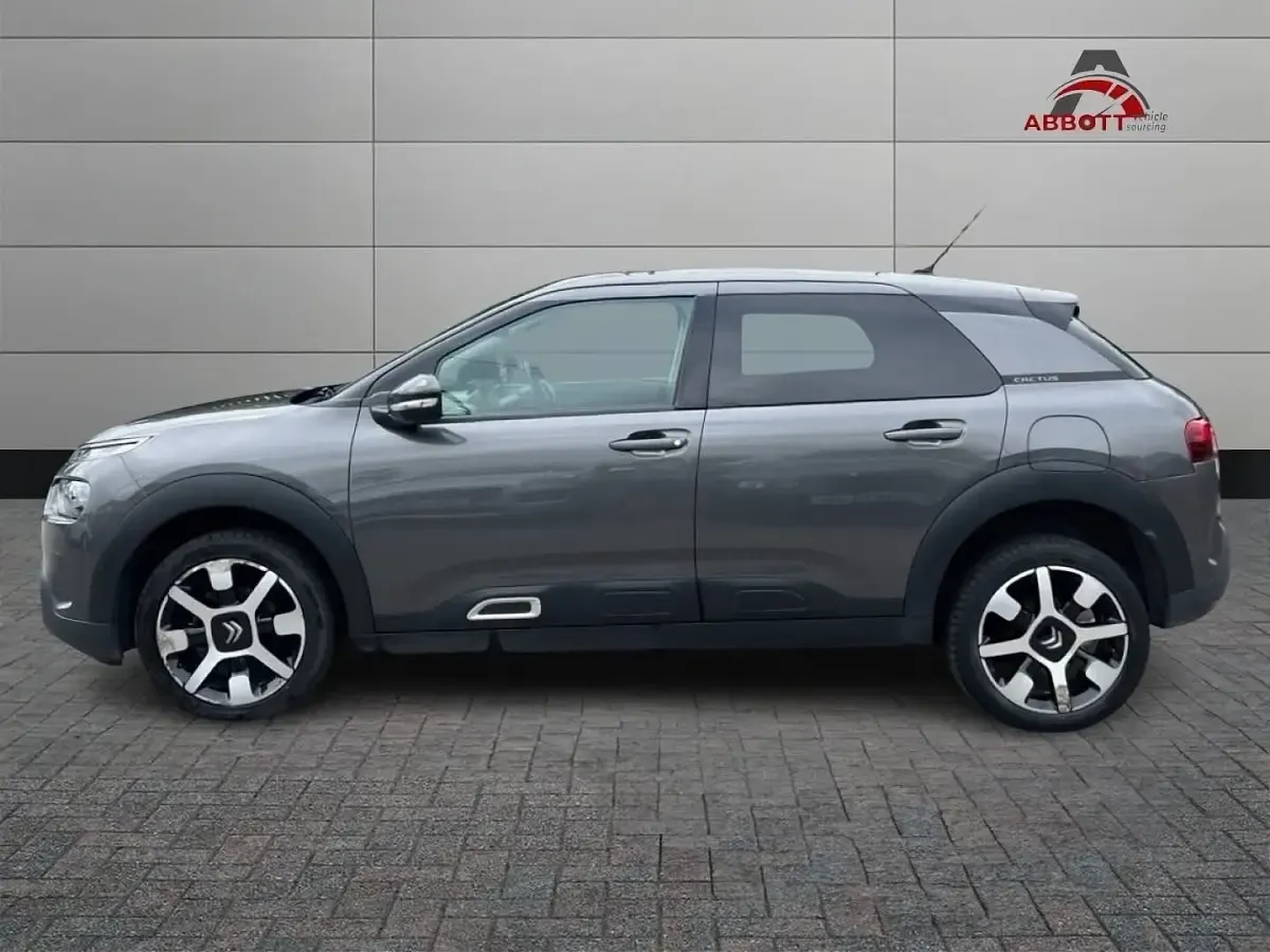 Used Citroën C4 Cactus Flair 100 HP (73 kW) 2018 Grey Hatchback