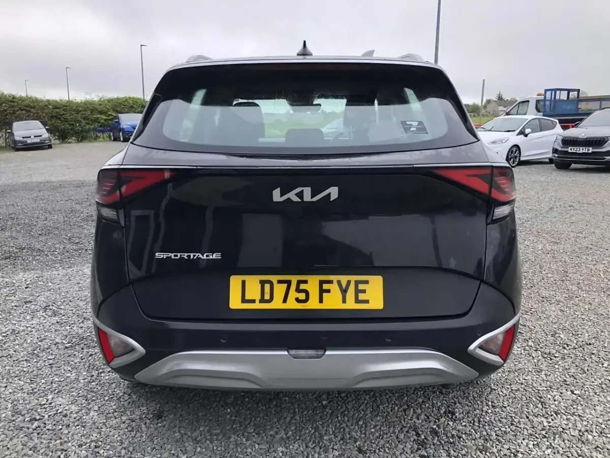 Used Kia Sportage 157 HP (115 kW) 2025 Black SUV