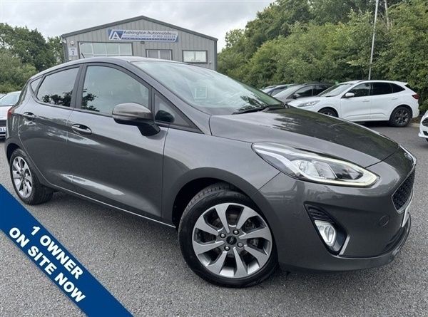 Grey Used 2020 Ford Fiesta Trend Hatchback | £9,999 (Fair price) - Image 1/1