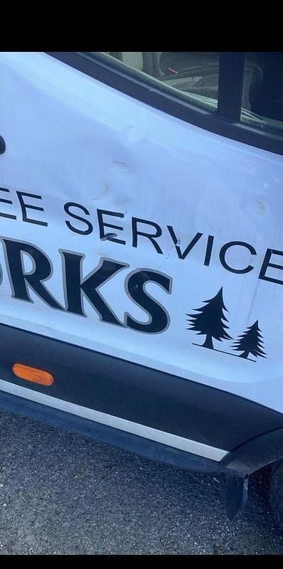 Used Ford Transit 170 HP (125 kW) 2020 White Cabriolet