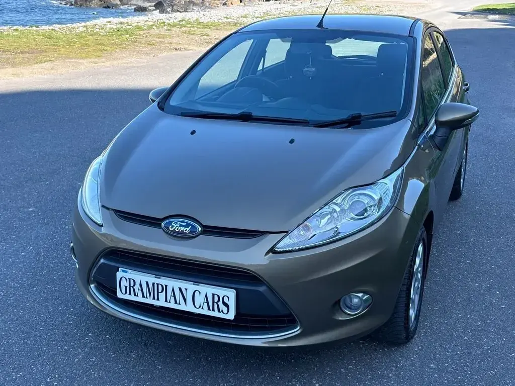 Used Ford Fiesta Zetec 81 HP (59 kW) 2012 Brown Hatchback