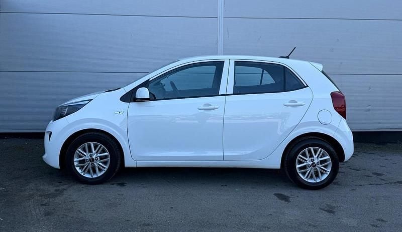 Used Kia Picanto 66 HP (48 kW) 2023 White Hatchback