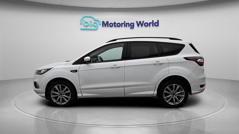 Used Ford Kuga ST-Line 150 HP (110 kW) 2019 White SUV