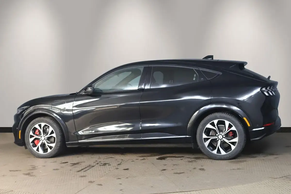 Used Ford Mustang Premium 294 HP (216 kW) 2024 Black Hatchback