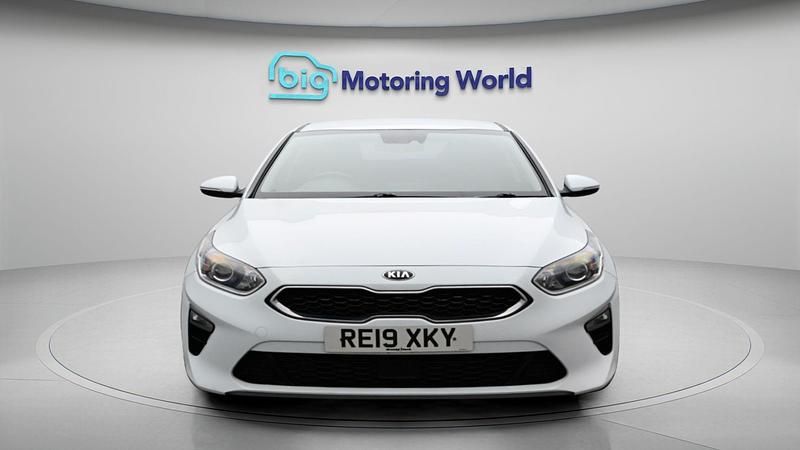 Used Kia Ceed 116 HP (85 kW) 2019 White Hatchback
