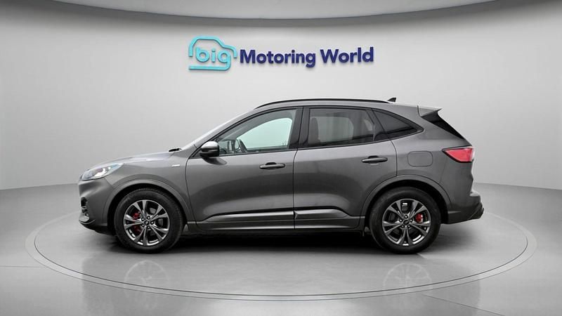 Used Ford Kuga ST-Line 150 HP (110 kW) 2022 Grey SUV